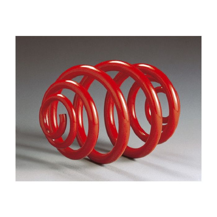 Lowering spring kit (front up to 885 kg, rear up to 845 kg)