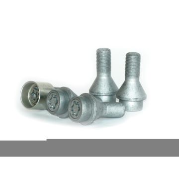 Locking wheel bolt set 5 x 118