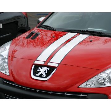 Twin-stripe decals
