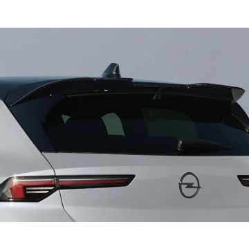 Rear spoiler (wing type)