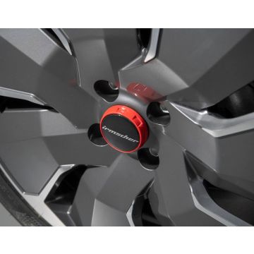 Set wheel hub cover IRS    