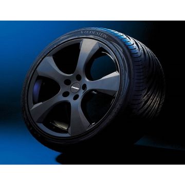 Wheel kit in Evo Star design (20 inch) with summer tire