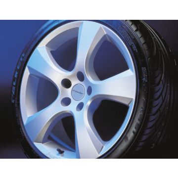 Wheel kit in Evo Star design (18 inch) with winter tire