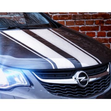 Foil decor set "Racing" (white, hood)