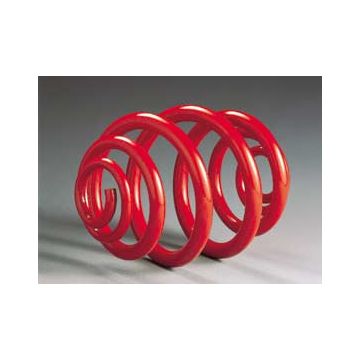 Lowering spring kit (front up to 960 kg, rear up to 860 kg)