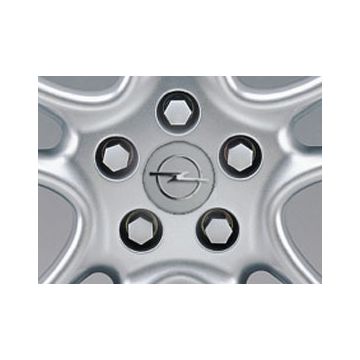 Cover for wheel hub